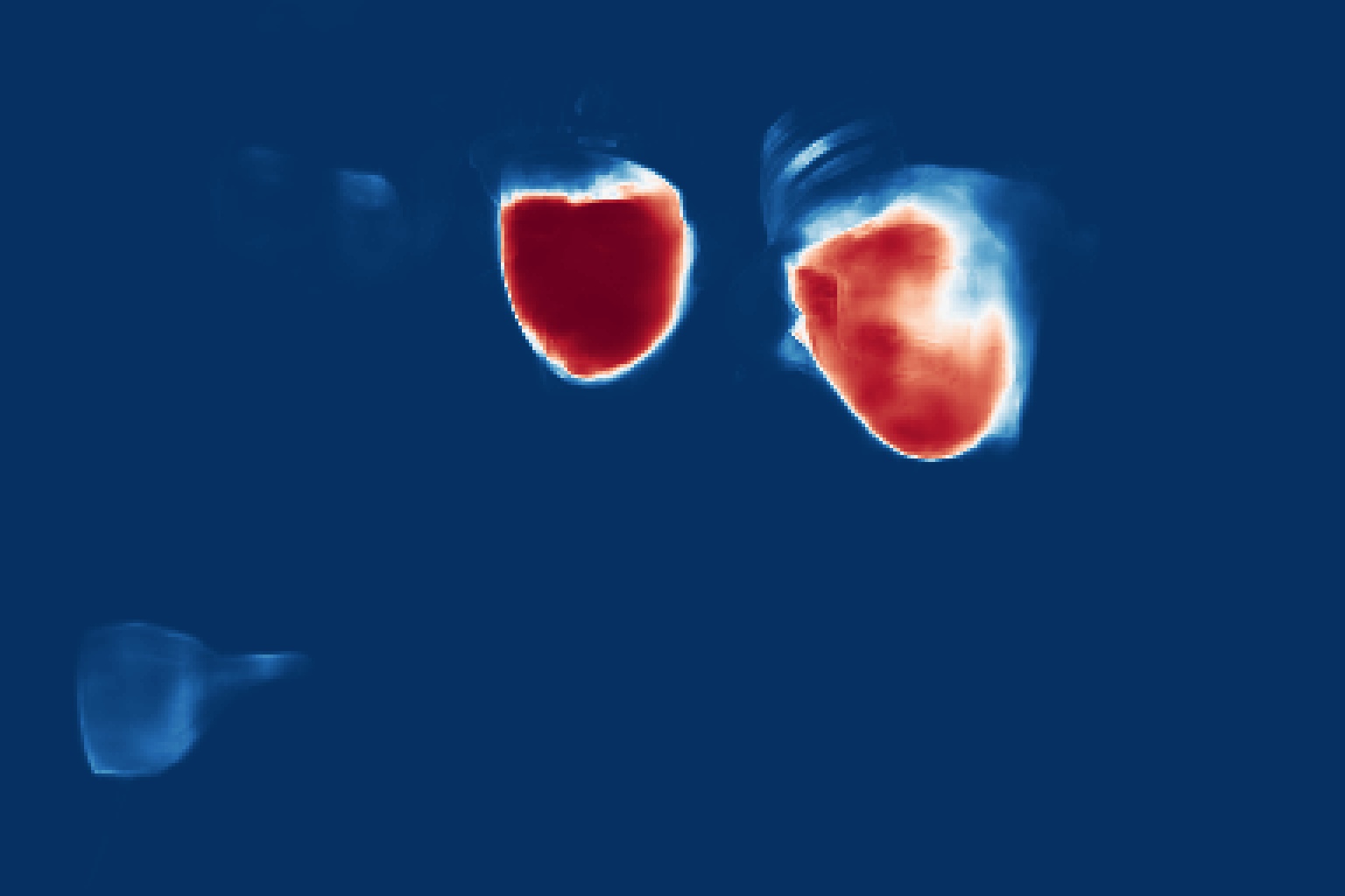 CAT-Net example 2 prediction