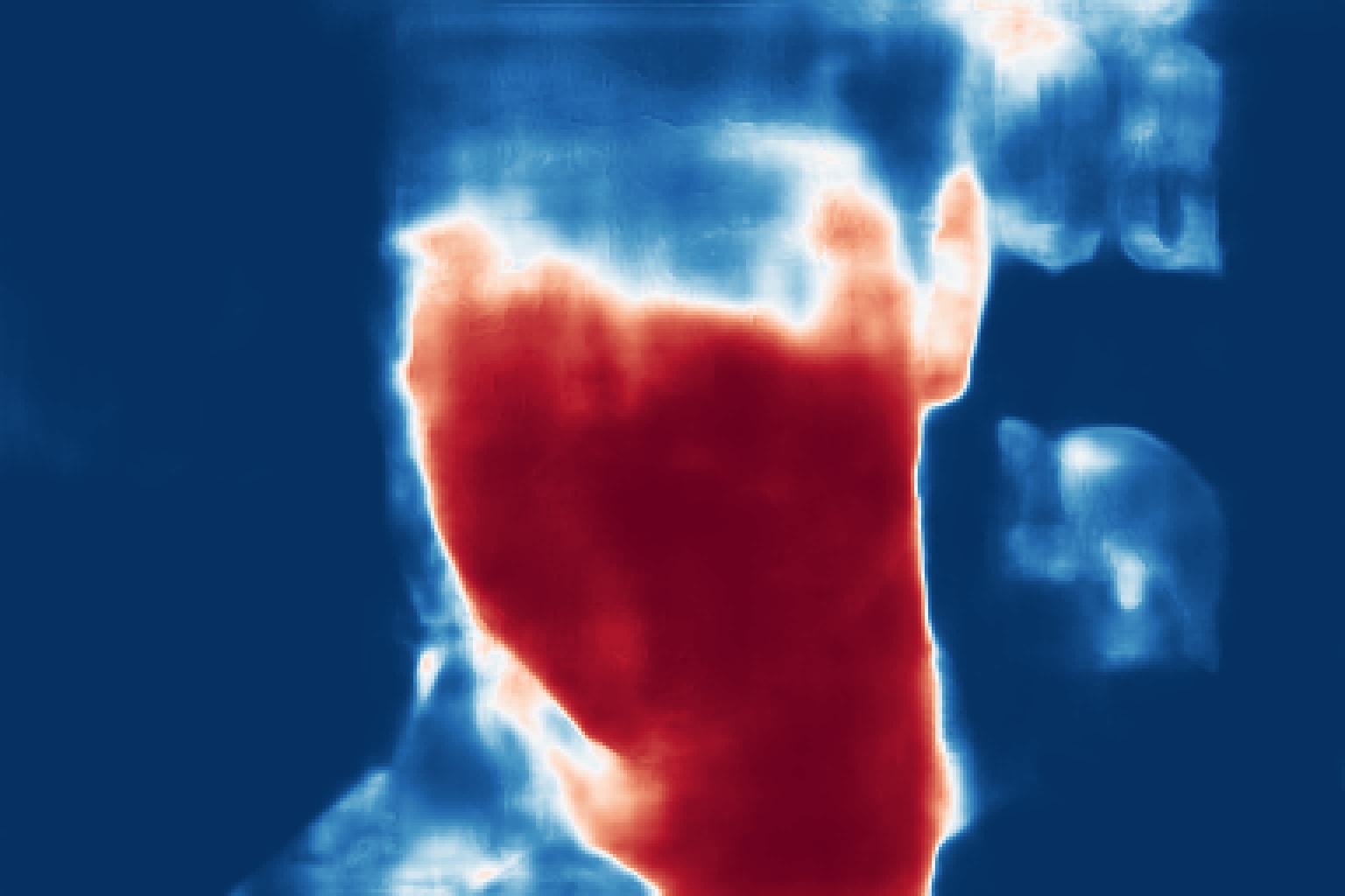 CAT-Net example 1 prediction