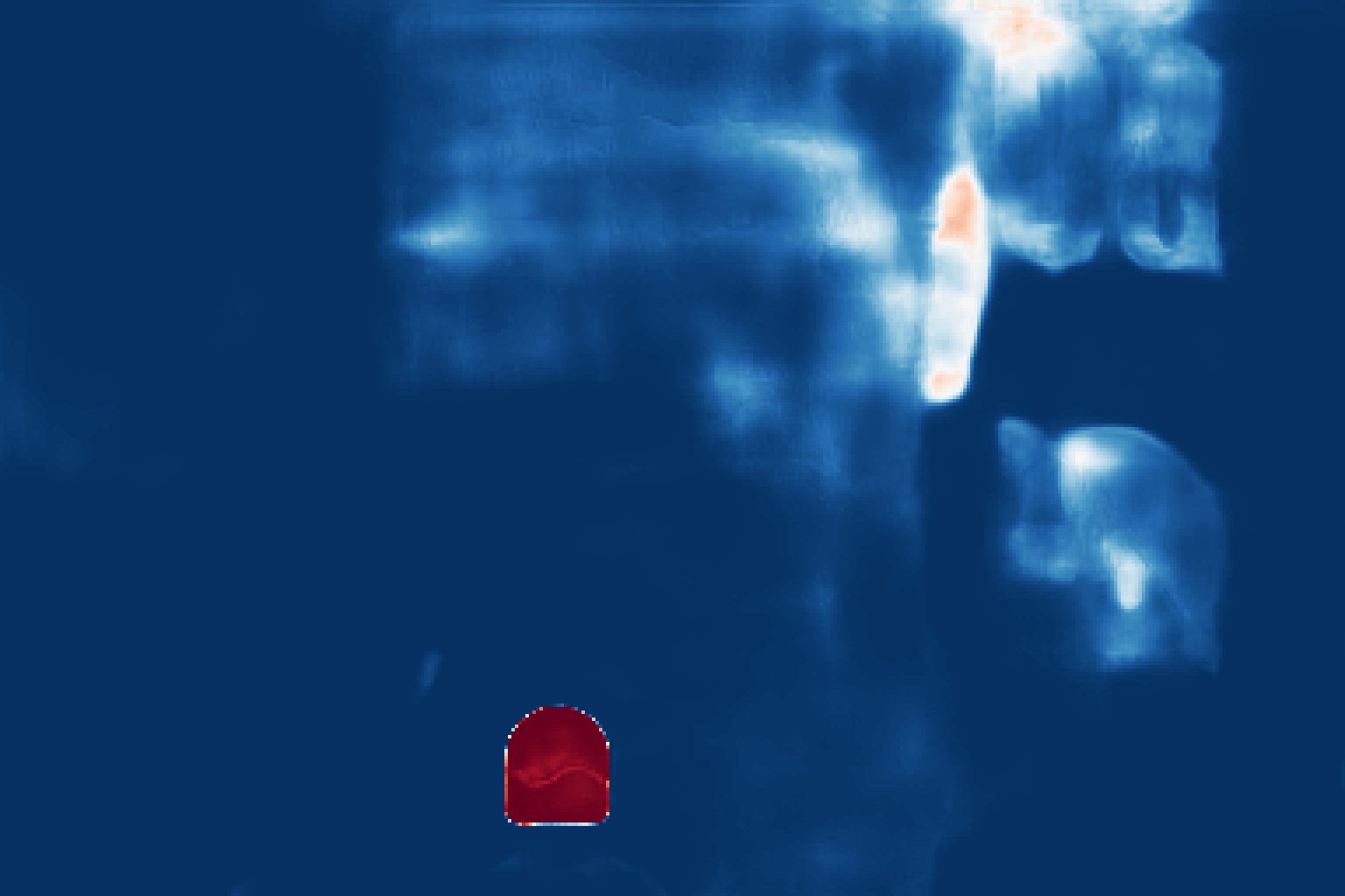 CAT-Net example 1 distracted prediction
